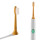 thetruthbrush solid bamboo electric toothbrush head 2 Stück